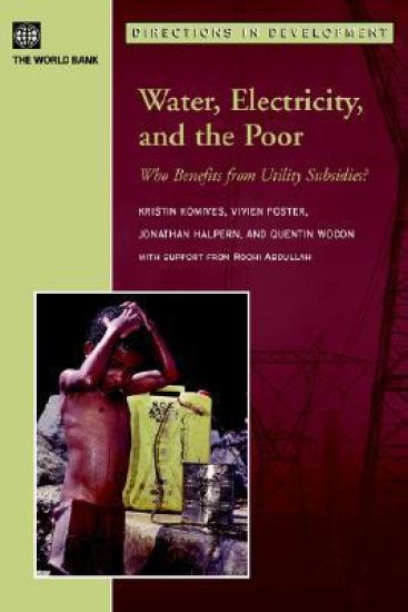 Water, Electricity, and the Poor – Kristin Komives, kirjan kansikuva