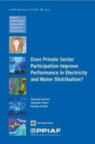 Does Private Sector Participation Improve Performance in Electricity and Water Distribution?