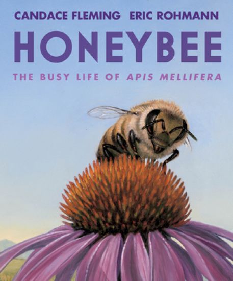 Honeybee: The Busy Life of APIs Mellifera – Candace Fleming, kirjan kansikuva