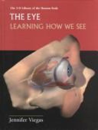 The Eye