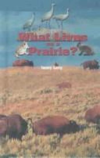 What Lives on a Prairie?