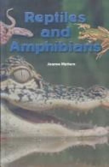 Reptiles and Amphibians