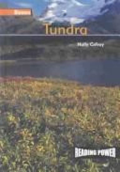 Tundra