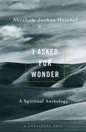 I Asked for Wonder