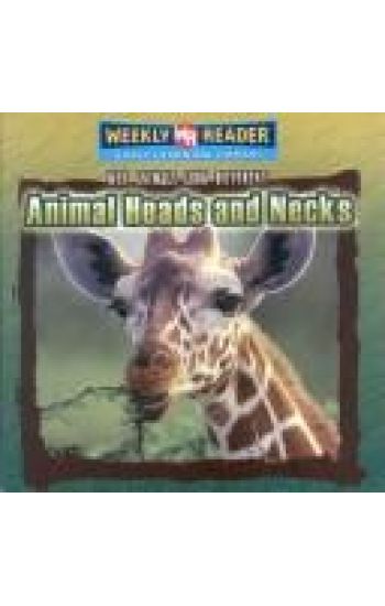 Animal Heads and Necks