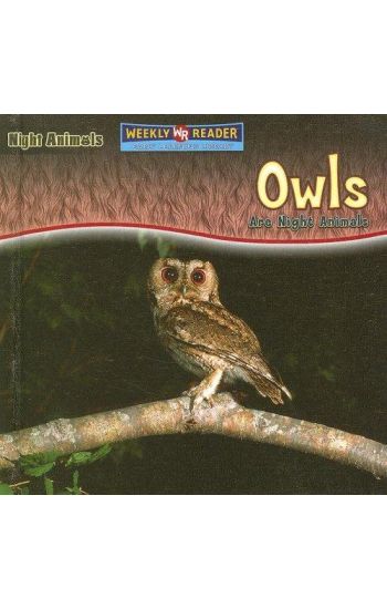 Owls Are Night Animals