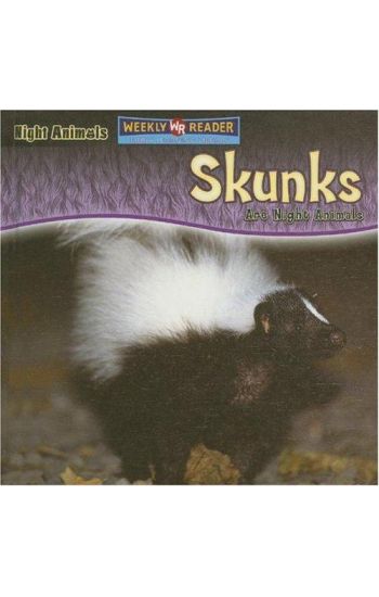 Skunks Are Night Animals
