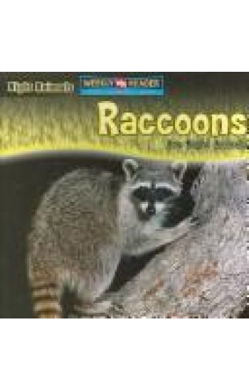Raccoons Are Night Animals