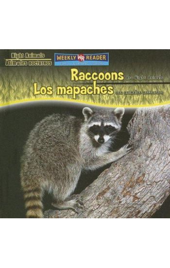 Raccoons Are Night Animals / Los Mapaches Son Animales Nocturnos
