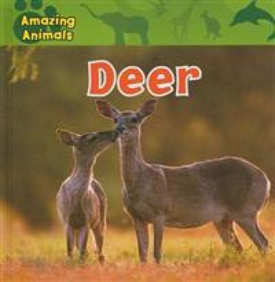 Deer