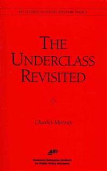 The Underclass Revisited