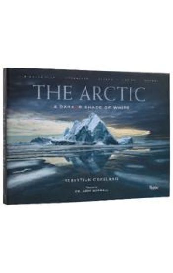 The Arctic