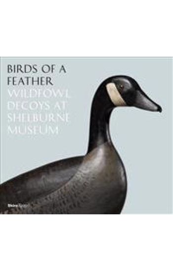 Birds of a Feather