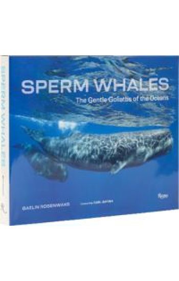 Sperm Whales