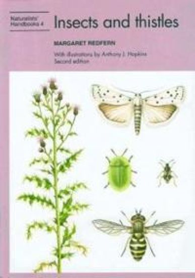 Insects and thistles