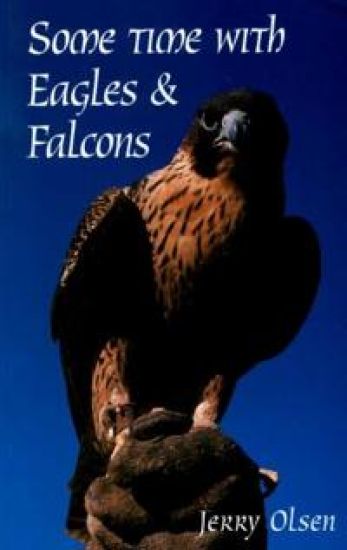 Some Time with EaglesFalcons