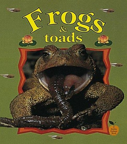 Frogs and Toads