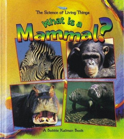 What Is a Mammal?