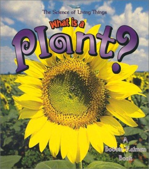 What Is A Plant?