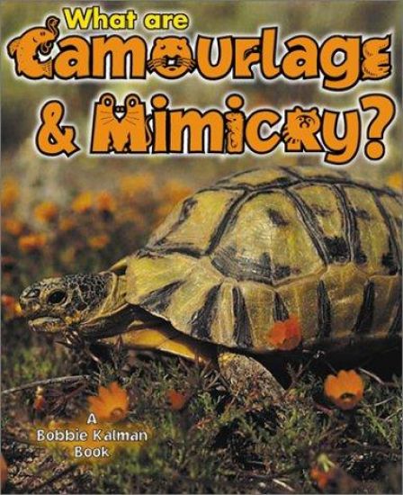 What Is Camouflage and Mimicry