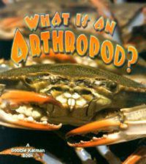What is an Arthropod