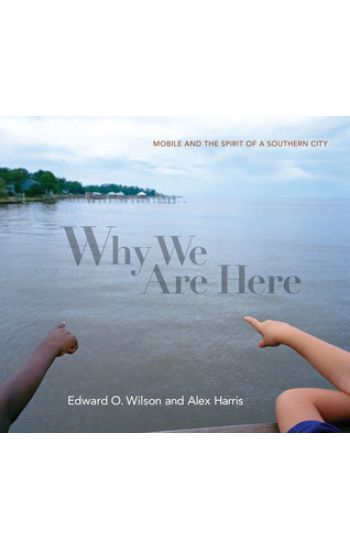 Why We Are Here