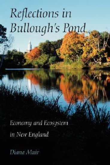 Reflections in Bullough’s Pond