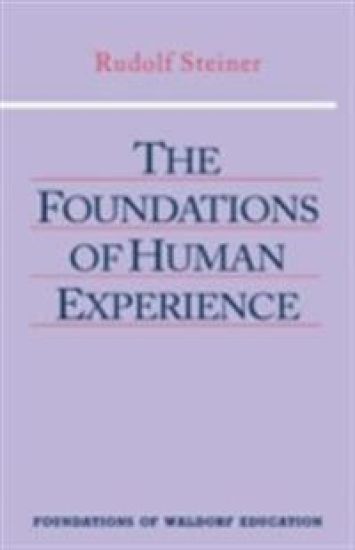 The Foundations of Human Experience