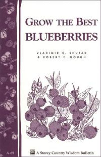 Grow the Best Blueberries