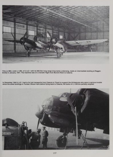 The Luftwaffe
