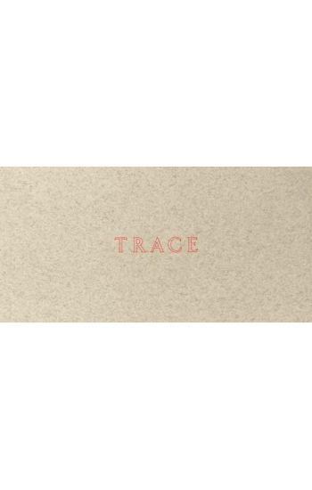 Jenny Holzer: Trace