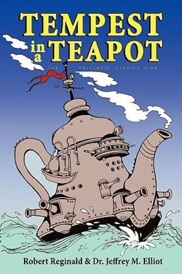 Tempest in a Teapot: The Falkland Islands War