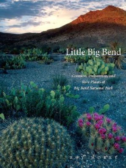 Little Big Bend