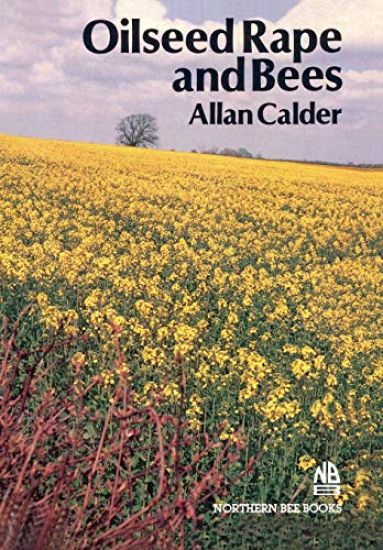 Oilseed Rape and Bees