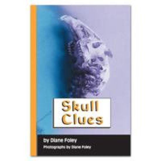 Skull Clues