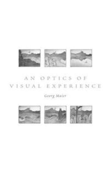 An Optics of Visual Experience