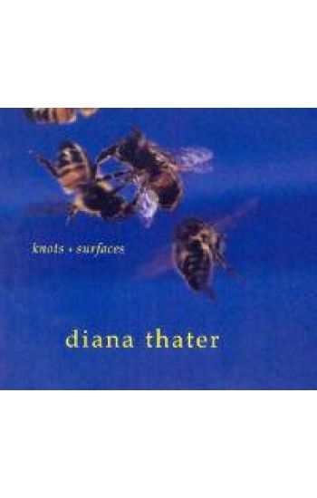 Diana Thater: Knots + Surfaces