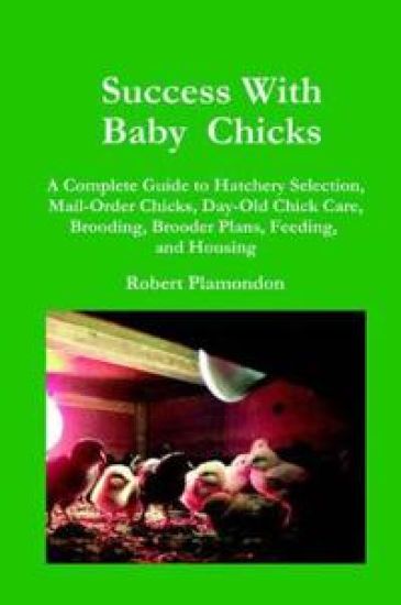 Success with Baby Chicks