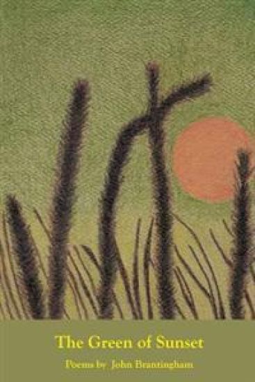 The Green of Sunset