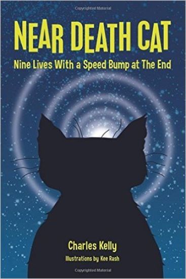 Near Death Cat: Nine Lives With a Speed Bump at The End