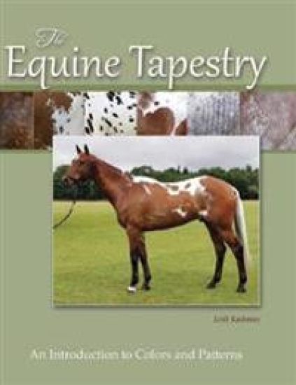 The Equine Tapestry