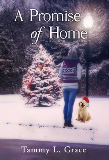 A Promise of Home: A Hometown Harbor Novel