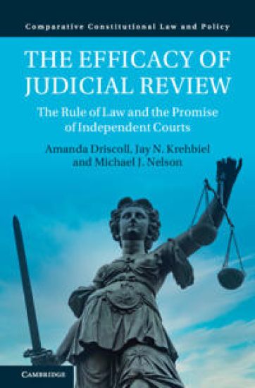 The Efficacy of Judicial Review