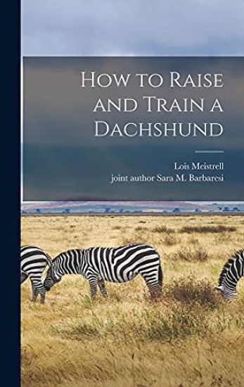 How to Raise and Train a Dachshund