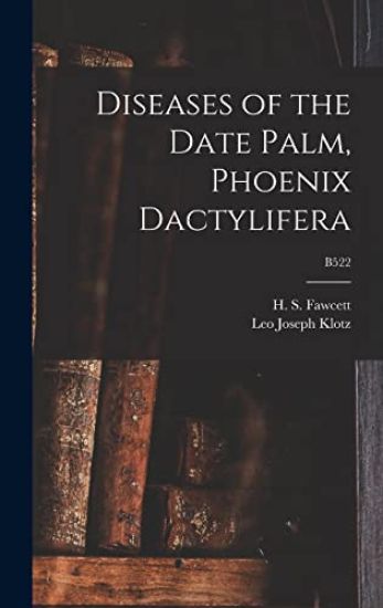 Diseases of the Date Palm, Phoenix Dactylifera; B522