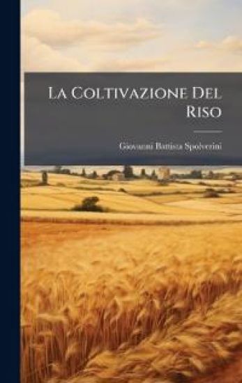 La Coltivazione Del Riso