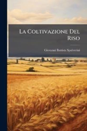 La Coltivazione Del Riso