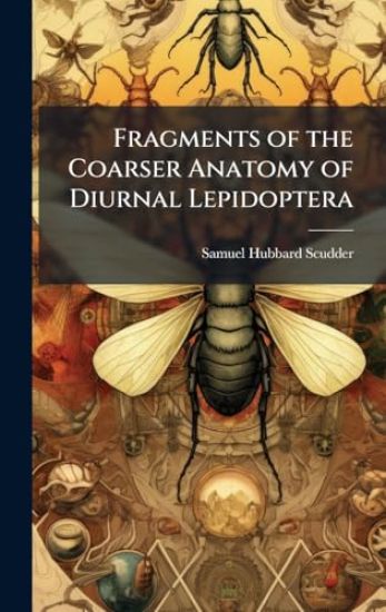 Fragments of the Coarser Anatomy of Diurnal Lepidoptera