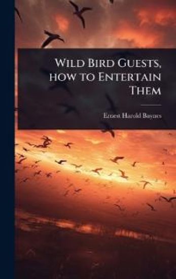Wild Bird Guests, how to Entertain Them
