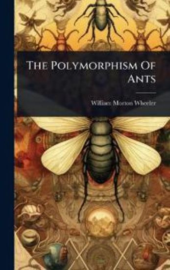 The Polymorphism Of Ants